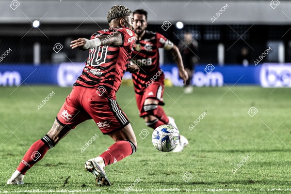 230625_Santos_2x3_Flamengo_Brasileirão_foto Dennis Calçada_01 (472)-1.jpg