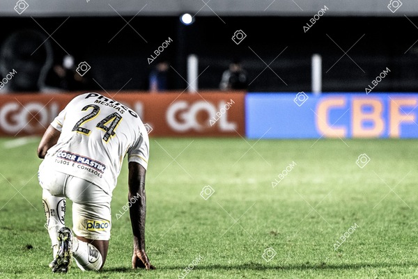 230625_Santos_2x3_Flamengo_Brasileirão_foto Dennis Calçada_01 (793)-1.jpg