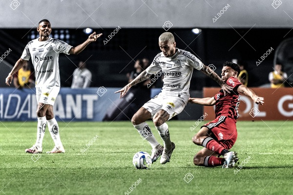 230625_Santos_2x3_Flamengo_Brasileirão_foto Dennis Calçada_01 (247)-1.jpg