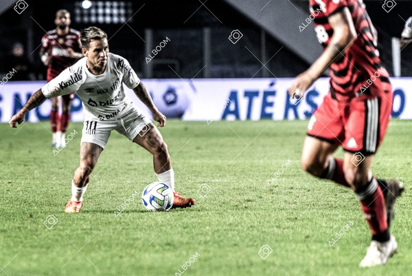 230625_Santos_2x3_Flamengo_Brasileirão_foto Dennis Calçada_01 (291)-1.jpg