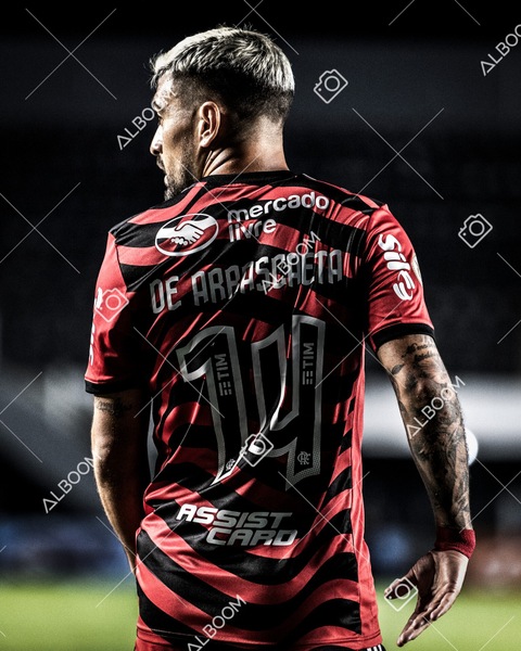 230625_Santos_2x3_Flamengo_Brasileirão_foto Dennis Calçada_01 (606)-1.jpg