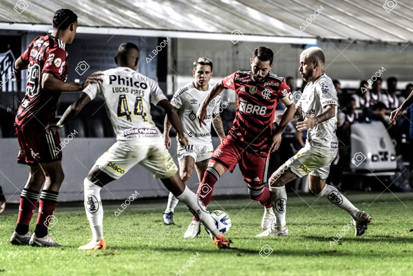 230625_Santos_2x3_Flamengo_Brasileirão_foto Dennis Calçada_01 (388)-1.jpg