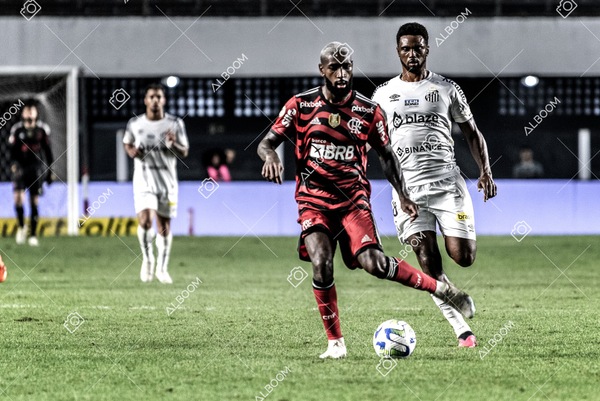 230625_Santos_2x3_Flamengo_Brasileirão_foto Dennis Calçada_01 (779)-1.jpg