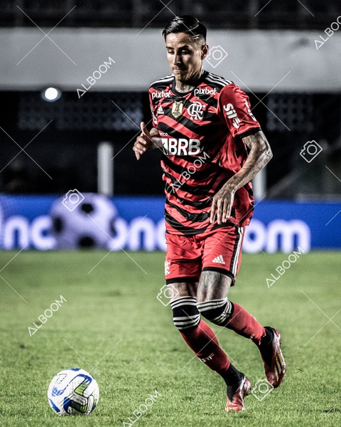 230625_Santos_2x3_Flamengo_Brasileirão_foto Dennis Calçada_01 (484)-1.jpg