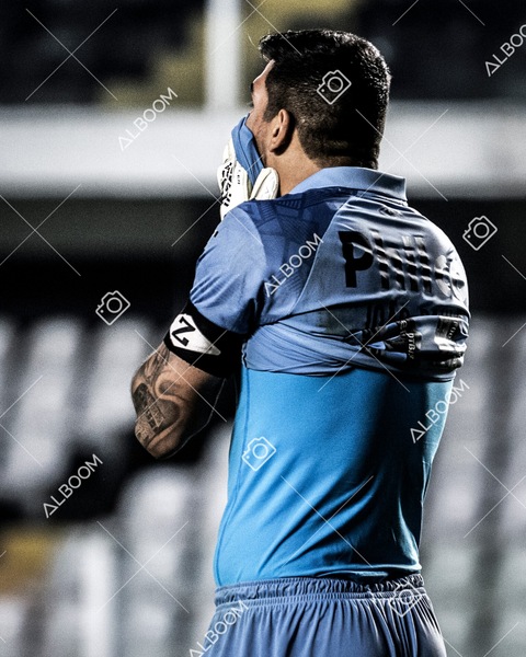 230625_Santos_2x3_Flamengo_Brasileirão_foto Dennis Calçada_01 (436)-1.jpg