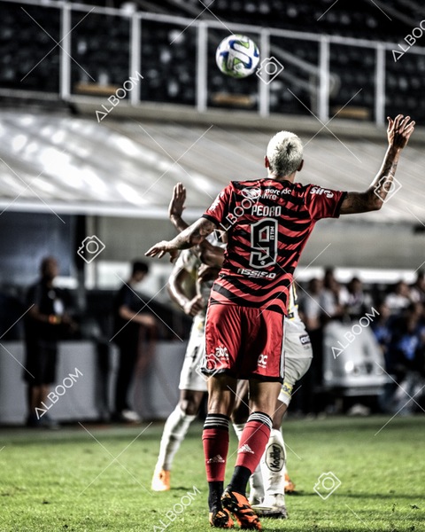 230625_Santos_2x3_Flamengo_Brasileirão_foto Dennis Calçada_01 (785)-1.jpg