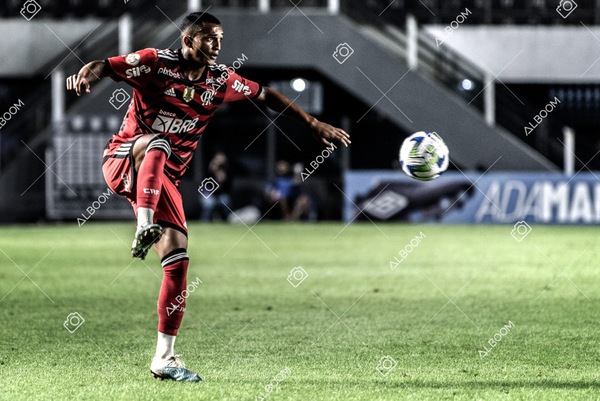 230625_Santos_2x3_Flamengo_Brasileirão_foto Dennis Calçada_01 (446)-1.jpg
