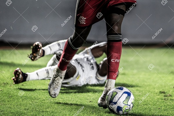 230625_Santos_2x3_Flamengo_Brasileirão_foto Dennis Calçada_01 (609)-1.jpg