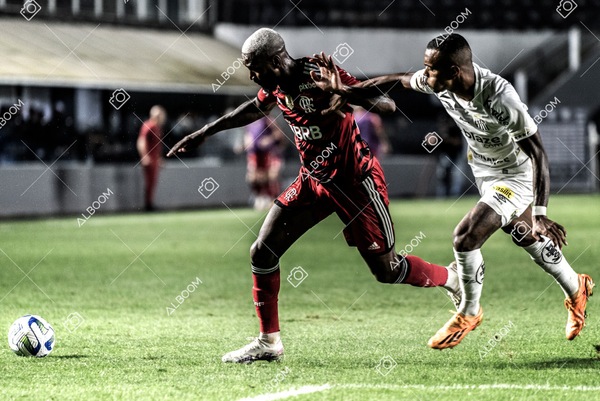 230625_Santos_2x3_Flamengo_Brasileirão_foto Dennis Calçada_01 (498)-1.jpg