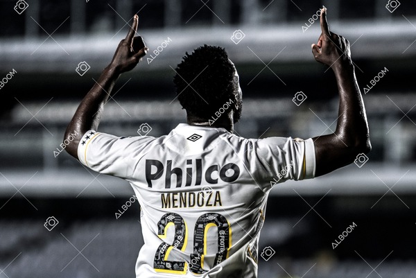 230625_Santos_2x3_Flamengo_Brasileirão_foto Dennis Calçada_01 (337)-1.jpg