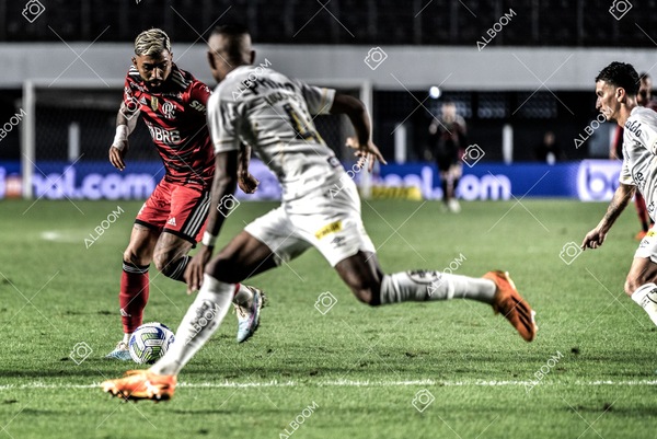 230625_Santos_2x3_Flamengo_Brasileirão_foto Dennis Calçada_01 (476)-1.jpg