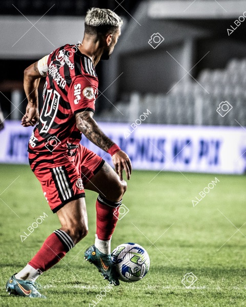 230625_Santos_2x3_Flamengo_Brasileirão_foto Dennis Calçada_01 (746)-1.jpg