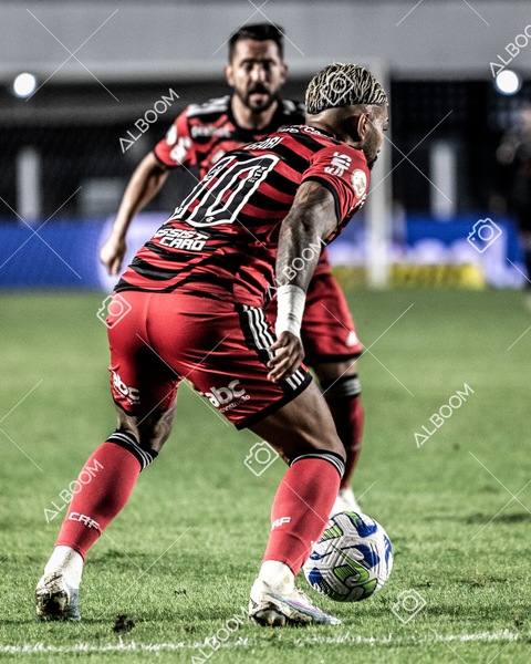 230625_Santos_2x3_Flamengo_Brasileirão_foto Dennis Calçada_01 (473)-1.jpg