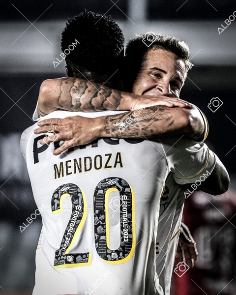230625_Santos_2x3_Flamengo_Brasileirão_foto Dennis Calçada_01 (345)-1.jpg