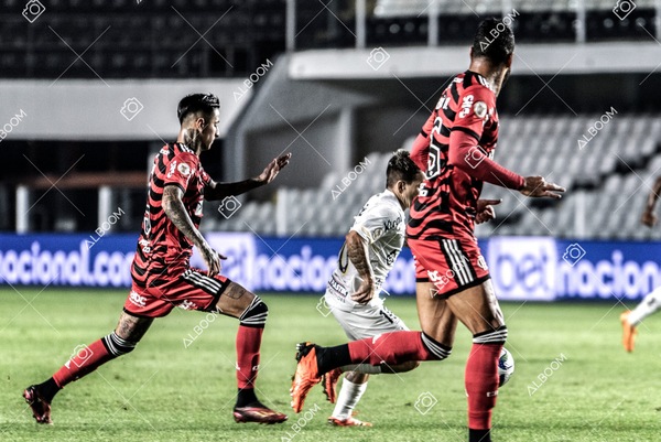 230625_Santos_2x3_Flamengo_Brasileirão_foto Dennis Calçada_01 (254)-1.jpg