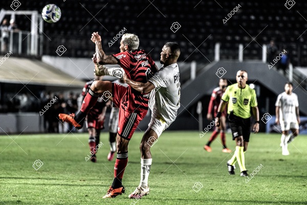 230625_Santos_2x3_Flamengo_Brasileirão_foto Dennis Calçada_01 (780)-1.jpg