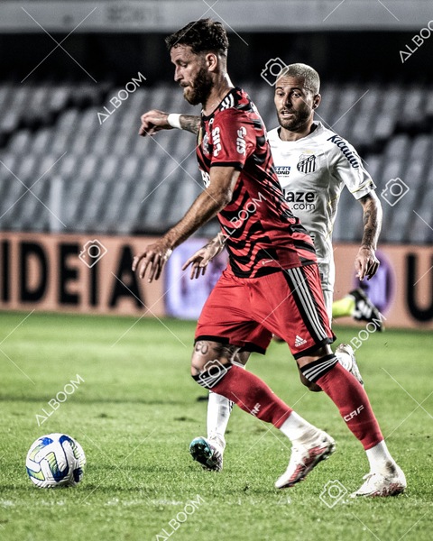 230625_Santos_2x3_Flamengo_Brasileirão_foto Dennis Calçada_01 (265)-1.jpg