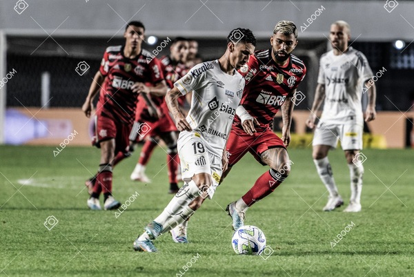 230625_Santos_2x3_Flamengo_Brasileirão_foto Dennis Calçada_01 (376)-1.jpg
