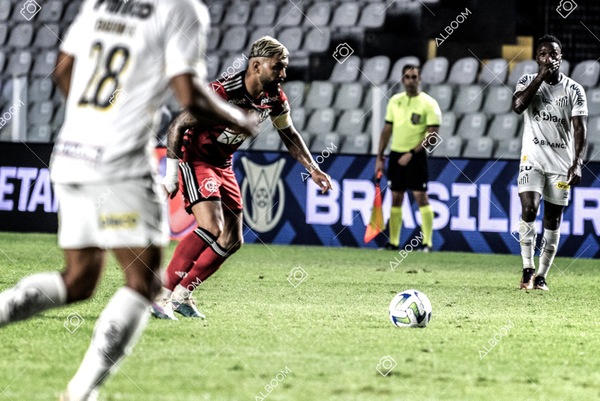 230625_Santos_2x3_Flamengo_Brasileirão_foto Dennis Calçada_01 (572)-1.jpg
