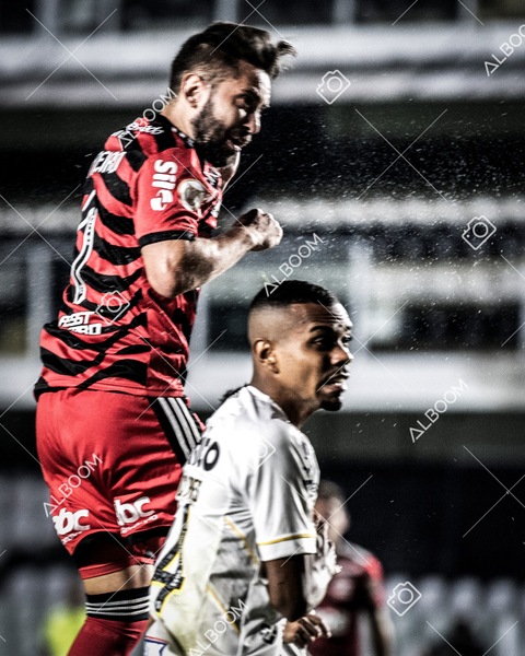 230625_Santos_2x3_Flamengo_Brasileirão_foto Dennis Calçada_01 (397)-1.jpg