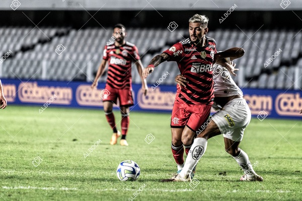 230625_Santos_2x3_Flamengo_Brasileirão_foto Dennis Calçada_01 (579)-1.jpg