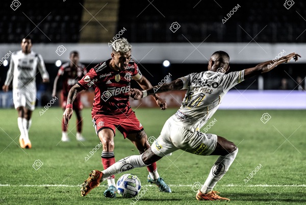 230625_Santos_2x3_Flamengo_Brasileirão_foto Dennis Calçada_01 (757)-1.jpg