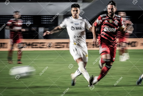 230625_Santos_2x3_Flamengo_Brasileirão_foto Dennis Calçada_01 (550)-1.jpg