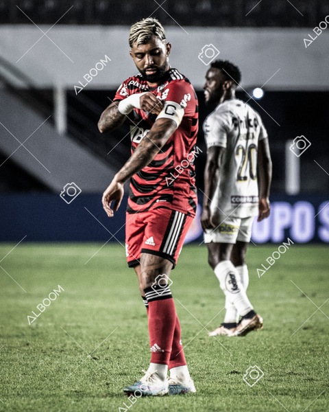 230625_Santos_2x3_Flamengo_Brasileirão_foto Dennis Calçada_01 (569)-1.jpg