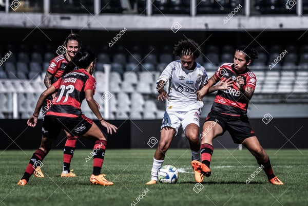 230625_Santos_4x1_Flamengo_Brasileirão_foto Dennis Calçada_01 (549)-1.jpg