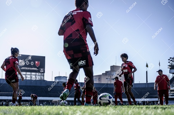 230625_Santos_4x1_Flamengo_Brasileirão_foto Dennis Calçada_01 (912)-1.jpg