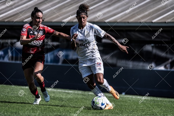230625_Santos_4x1_Flamengo_Brasileirão_foto Dennis Calçada_01 (585)-1.jpg