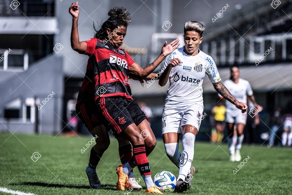 230625_Santos_4x1_Flamengo_Brasileirão_foto Dennis Calçada_01 (442)-1.jpg