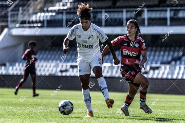 230625_Santos_4x1_Flamengo_Brasileirão_foto Dennis Calçada_01 (310)-1.jpg