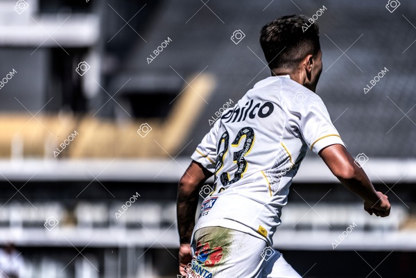 230625_Santos_4x1_Flamengo_Brasileirão_foto Dennis Calçada_01 (501)-1.jpg