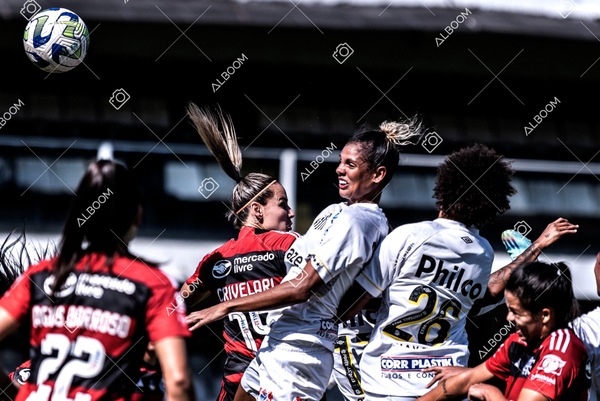 230625_Santos_4x1_Flamengo_Brasileirão_foto Dennis Calçada_01 (799)-1.jpg