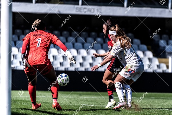 230625_Santos_4x1_Flamengo_Brasileirão_foto Dennis Calçada_01 (535)-1.jpg