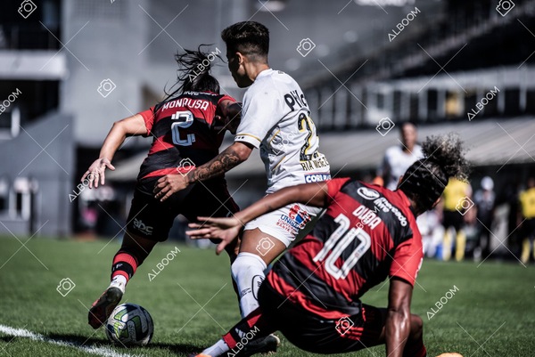 230625_Santos_4x1_Flamengo_Brasileirão_foto Dennis Calçada_01 (447)-1.jpg