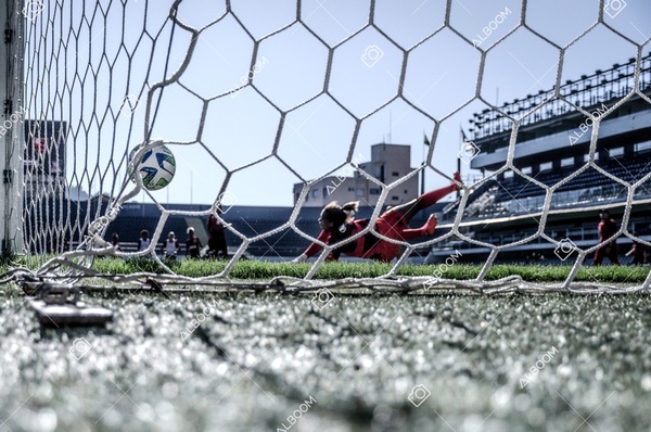 230625_Santos_4x1_Flamengo_Brasileirão_foto Dennis Calçada_01 (970)-1.jpg