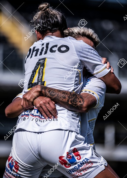 230625_Santos_4x1_Flamengo_Brasileirão_foto Dennis Calçada_01 (842)-1.jpg