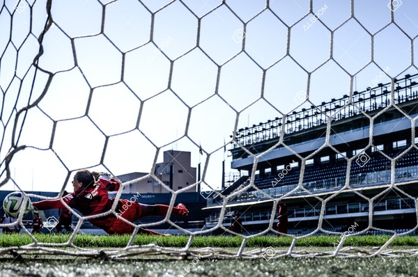 230625_Santos_4x1_Flamengo_Brasileirão_foto Dennis Calçada_01 (956)-1.jpg