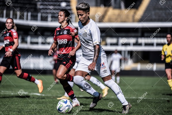 230625_Santos_4x1_Flamengo_Brasileirão_foto Dennis Calçada_01 (495)-1.jpg