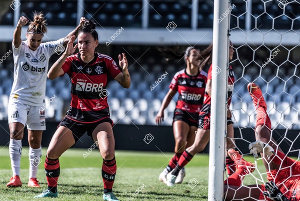 230625_Santos_4x1_Flamengo_Brasileirão_foto Dennis Calçada_01 (255)-1.jpg