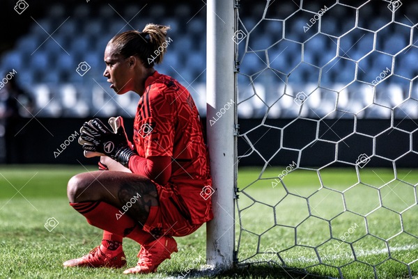 230625_Santos_4x1_Flamengo_Brasileirão_foto Dennis Calçada_01 (198)-1.jpg