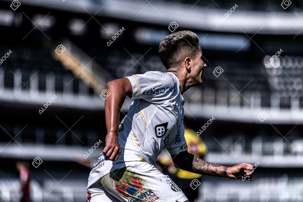 230625_Santos_4x1_Flamengo_Brasileirão_foto Dennis Calçada_01 (500)-1.jpg
