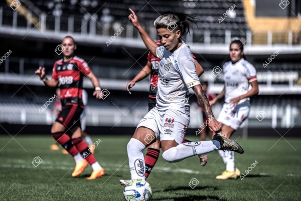 230625_Santos_4x1_Flamengo_Brasileirão_foto Dennis Calçada_01 (496)-1.jpg