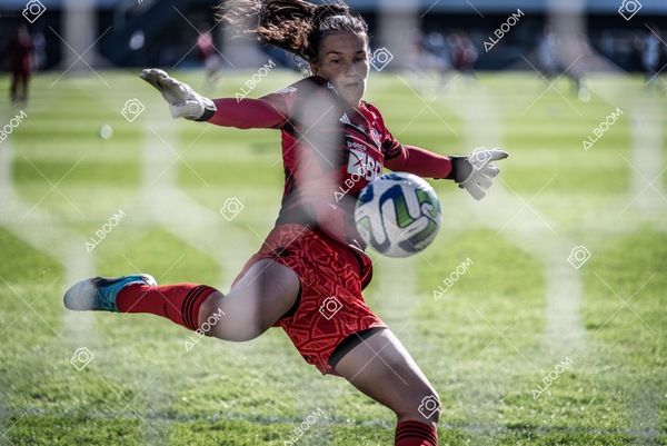 230625_Santos_4x1_Flamengo_Brasileirão_foto Dennis Calçada_01 (96)-1.jpg