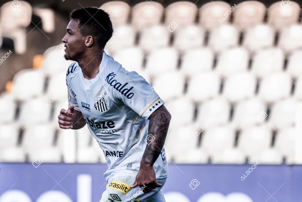 230723_Santos_2x2_Botafogo_Brasileirão_foto Dennis Calçada_01 (256)-3.jpg
