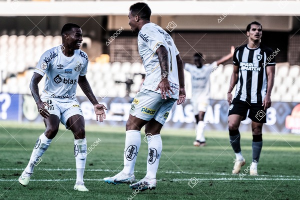 230723_Santos_2x2_Botafogo_Brasileirão_foto Dennis Calçada_01 (264)-1.jpg