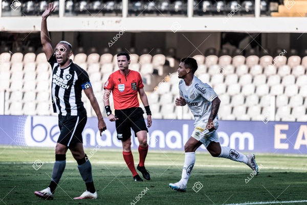 230723_Santos_2x2_Botafogo_Brasileirão_foto Dennis Calçada_01 (256)-1.jpg