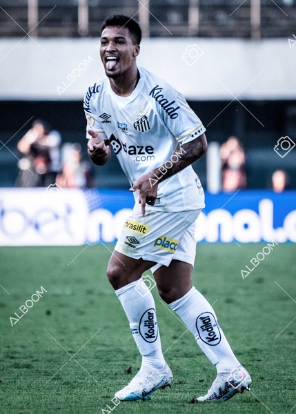 230723_Santos_2x2_Botafogo_Brasileirão_foto Dennis Calçada_01 (276)-1A.jpg